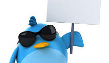 Advertise In The Star